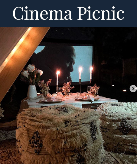 cinema-picnic