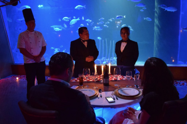 Cena-acuario-volopapilio