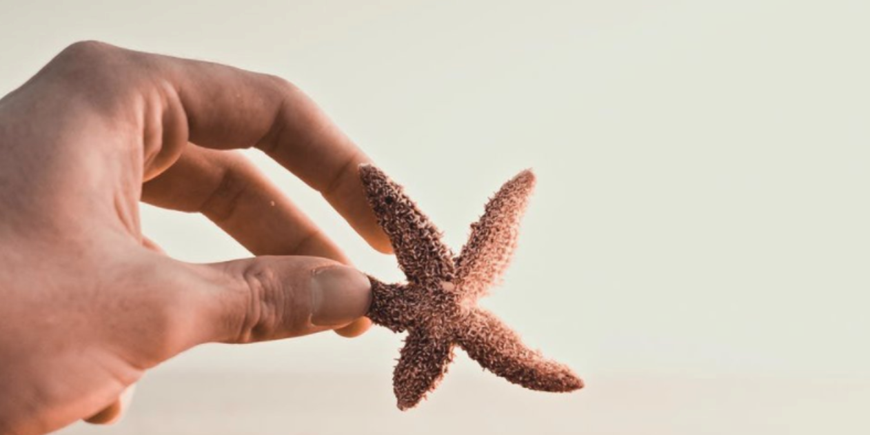 Escape Yate Privado y Sax a Acapulco